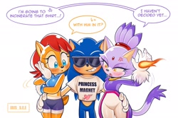 Size: 2048x1365 | Tagged: safe, artist:iris_s_e_e, blaze the cat, sally acorn, sonic the hedgehog, shipping, shirt, sonally, sonaze