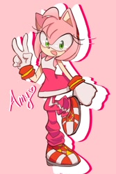 Size: 1500x2248 | Tagged: safe, artist:tamjeong_sonic, amy rose, character name, full body, pink background, riders outfit, simple background, solo, sonic riders, v sign