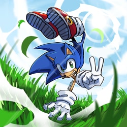 Size: 2000x2000 | Tagged: safe, artist:maxart1537, sonic the hedgehog, grass, solo