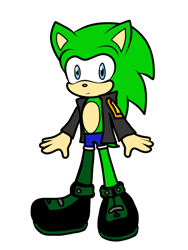 Size: 774x1032 | Tagged: safe, artist:noooonswing, scourge the hedgehog, hedgehog, asymmetrical legwear, blue eyes, green fur, jacket, male, shoes, shorts, single leg pantyhose