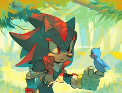 Size: 2048x1568 | Tagged: safe, artist:uopoh0102, flicky, shadow the hedgehog, bird, alternate outfit, commission, daytime, duo, grass, jacket, literal animal, outdoors, tree