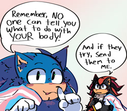 Size: 1821x1606 | Tagged: safe, artist:drlessy, shadow the hedgehog, sonic the hedgehog, 2024, dialogue, duo, english text, flag, gradient background, positivity, pride, pride flag, smile, speech bubble, trans pride