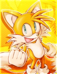 Size: 1345x1754 | Tagged: safe, artist:just_icyyy, miles "tails" prower, 2024, abstract background, clenched fist, echo background, looking at viewer, mouth open, outline, smile, solo, standing