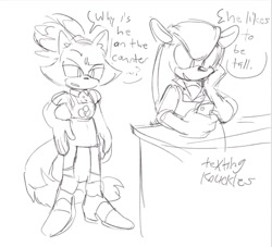 Size: 1024x929 | Tagged: safe, artist:halpdevon, blaze the cat, mighty the armadillo, 2020, alternate universe, apron, au:flower shop, comic, english text, greyscale, monochrome, speech bubble, texting