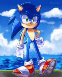 Size: 827x1016 | Tagged: safe, artist:skyavii-sonic, sonic the hedgehog