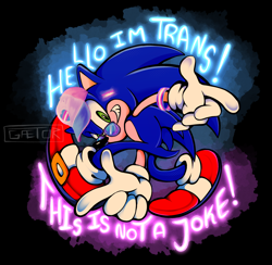 Size: 2048x1995 | Tagged: safe, artist:gaetorcreation, sonic the hedgehog, edit, english text, meme, pride, solo, trans male, trans pride, transgender