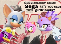 Size: 1280x923 | Tagged: safe, editor:lesbianturtle, amy rose, blaze the cat, rouge the bat, tangle the lemur, wave the swallow, amy x blaze, edit, gee bill!, group, lesbian, meme, shipping, tanglaze, wavouge