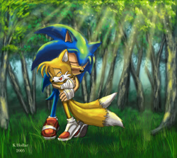 Size: 773x691 | Tagged: safe, artist:netraptor, miles "tails" prower, sonic the hedgehog, fanfic:runes of awakening, 2005, bandage, crying, cute, daytime, duo, eyes closed, fanfiction art, forest, grass, hugging, mouth open, outdoors, signature, smile, standing, sunray, tears, tears of happiness