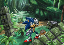 Size: 987x700 | Tagged: safe, artist:masa-r, sonic the hedgehog, 2020, abstract background, backpack, daytime, jungle, looking offscreen, mouth open, outdoors, ruins, solo, standing, sweatdrop, water bottle