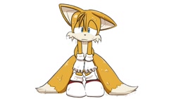 Size: 1248x702 | Tagged: safe, artist:seen023hey, miles "tails" prower, 2024, floppy ear, frown, lidded eyes, simple background, solo, wet, white background