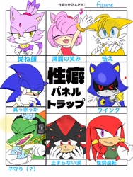 Size: 1536x2048 | Tagged: safe, artist:asune_snare, amy rose, blaze the cat, knuckles the echidna, metal sonic, miles "tails" prower, shadow the hedgehog, sonic the hedgehog, vector the crocodile, chao, cleavage, gender swap, group, japanese text, neutral chao