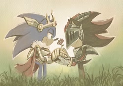 Size: 2048x1431 | Tagged: safe, artist:ls1389, shadow the hedgehog, sonic the hedgehog, sonic and the black knight, 2024, duo, flower, frown, gay, grass, holding hands, holding something, king arthur, lidded eyes, looking at each other, shadow x sonic, shipping, sir lancelot, smile, standing