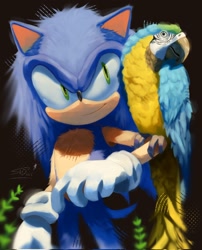 Size: 1656x2048 | Tagged: safe, artist:sadw_e, sonic the hedgehog, bird, brown background, duo, literal animal, looking at them, looking at viewer, macaw, parrot, signature, simple background, smile, standing