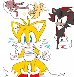 Size: 1946x2048 | Tagged: safe, artist:believe1nmyself, miles "tails" prower, shadow the hedgehog, 2024, bandage, duo, fight, first aid kit, holding something, simple background, thought bubble, white background