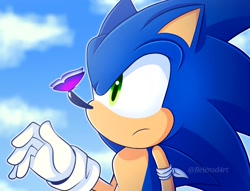 Size: 1804x1377 | Tagged: safe, artist:belen_sd_art, sonic the hedgehog, sonic the hedgehog (2006), 2024, abstract background, bandage, bug, butterfly, clouds, daytime, frown, literal animal, outdoors, outline, redraw, signature, solo, standing