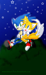 Size: 1454x2338 | Tagged: safe, artist:temari-fox, miles "tails" prower, sonic the hedgehog, 2009, abstract background, cute, duo, gay, grass, looking up, mouth open, nighttime, outdoors, shipping, signature, sitting, smile, sonic x tails, star (sky)