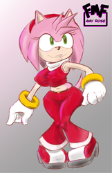 Size: 1325x2044 | Tagged: safe, artist:furmasterflex, amy rose