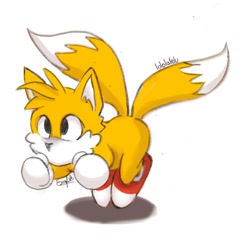 Size: 1080x1080 | Tagged: safe, artist:lololalelu, miles "tails" prower