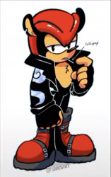 Size: 1147x1827 | Tagged: safe, artist:sonicwiki, mighty the armadillo, armadillo, black fur, boots, fingerless gloves, jacket, lollipop, male, red fur