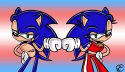 Size: 2048x1179 | Tagged: safe, artist:miwwieuwuart, sonic the hedgehog, 2022, alternate version, duo, fistbump, gradient background, hand on hip, lidded eyes, looking at viewer, pride flag background, self paradox, signature, standing, top surgery scars, trans female, trans male, trans pride, transgender, uekawa style