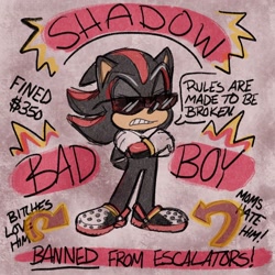 Size: 2048x2048 | Tagged: safe, artist:devotedsidekick, shadow the hedgehog, 2024, alternate outfit, arms folded, clenched teeth, crocs, english text, solo, sunglasses, traditional media