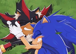 Size: 2048x1468 | Tagged: safe, artist:cawffeejelly, shadow the hedgehog, sonic the hedgehog, 2025, abstract background, blushing, cheek fluff, cute, daytime, duo, ear fluff, eyes closed, gay, grass, holding each other, lying down, messy hair, outdoors, shadow x sonic, shipping, smile, snuggling, wholesome