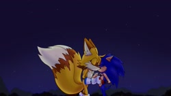 Size: 1920x1080 | Tagged: safe, artist:jeffydust, miles "tails" prower, sonic the hedgehog, 2025, blushing, cute, daytime, duo, ear fluff, eyes closed, gay, holding hands, kiss, older, outdoors, shipping, sonic x tails, standing, star (sky)