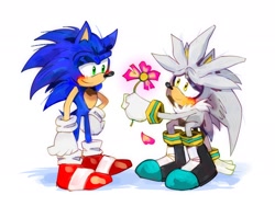 Size: 2048x1536 | Tagged: safe, artist:hotsmokeycowboy, silver the hedgehog, sonic the hedgehog, 2025, blushing, cute, duo, flower, gay, holding something, looking at each other, offering flower, petal, shipping, sitting, smile, sonilver, standing