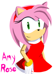 Size: 810x1080 | Tagged: safe, artist:soneamlover, amy rose, 2024, lineless, looking at viewer, simple background, smile, solo, standing, transparent background