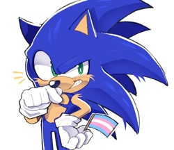 Size: 600x518 | Tagged: safe, artist:cawffeejelly, sonic the hedgehog, cheek fluff, finger under nose, flag, holding something, looking offscreen, pride, pride flag, shoulders, simple background, smile, solo, standing, top surgery scars, trans male, trans pride, transgender, white background