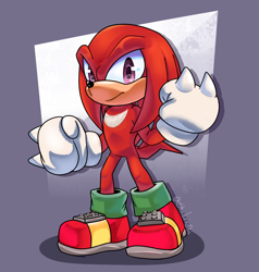 Size: 1900x2000 | Tagged: safe, artist:shadzzy_8a, knuckles the echidna