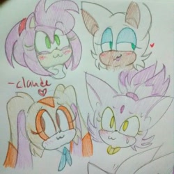 Size: 1224x1224 | Tagged: safe, artist:luucalio, amy rose, blaze the cat, cream the rabbit, rouge the bat, 2018, :3, amybetes, blazebetes, blushing, creamabetes, cute, group, headshot, heart, lidded eyes, looking offscreen, pencilwork, rougabetes, signature, smile, sweatdrop, traditional media