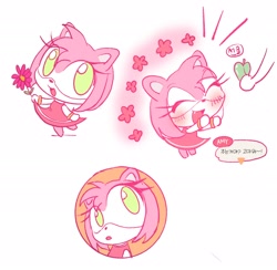 Size: 2048x2000 | Tagged: safe, artist:juhana670562795, amy rose, amybetes, animal crossing, apple, blushing, cute, duo, eyes closed, flower, happy, korean text, multiple views, smile, solo focus