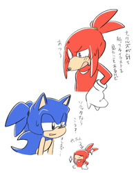 Size: 740x938 | Tagged: safe, artist:oudooooon427, knuckles the echidna, sonic the hedgehog, alternate hairstyle, duo, japanese text, ponytail, simple background, white background