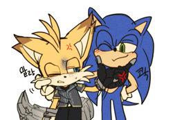 Size: 773x534 | Tagged: safe, artist:dochisukiovo, miles "tails" prower, nine, sonic the hedgehog, 2025, cross popping vein, dialogue, duo, frown, gay, korean text, looking at each other, nine x sonic, one eye closed, shipping, signature, simple background, smile, sonic x tails, standing, sweatdrop, white background