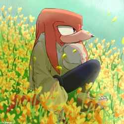 Size: 760x760 | Tagged: safe, artist:umerouge, knuckles the echidna, alternate outfit, alternate shoes, daytime, flower, hoodie, outdoors, pants, solo