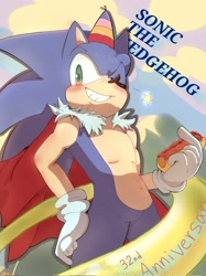 Size: 1530x2048 | Tagged: safe, artist:umerouge, sonic the hedgehog, anniversary, cape, character name, chili dog, food, grin, holding something, king sonic, one eye closed, party hat, smile, solo, standing